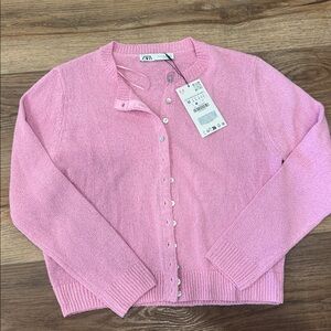 Zara Soft Pink Knit Sweater